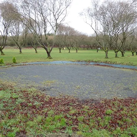 Paurogalu-telounima Maizieres (Calvados)